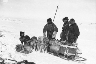 Dogs and their Antartica Explorers