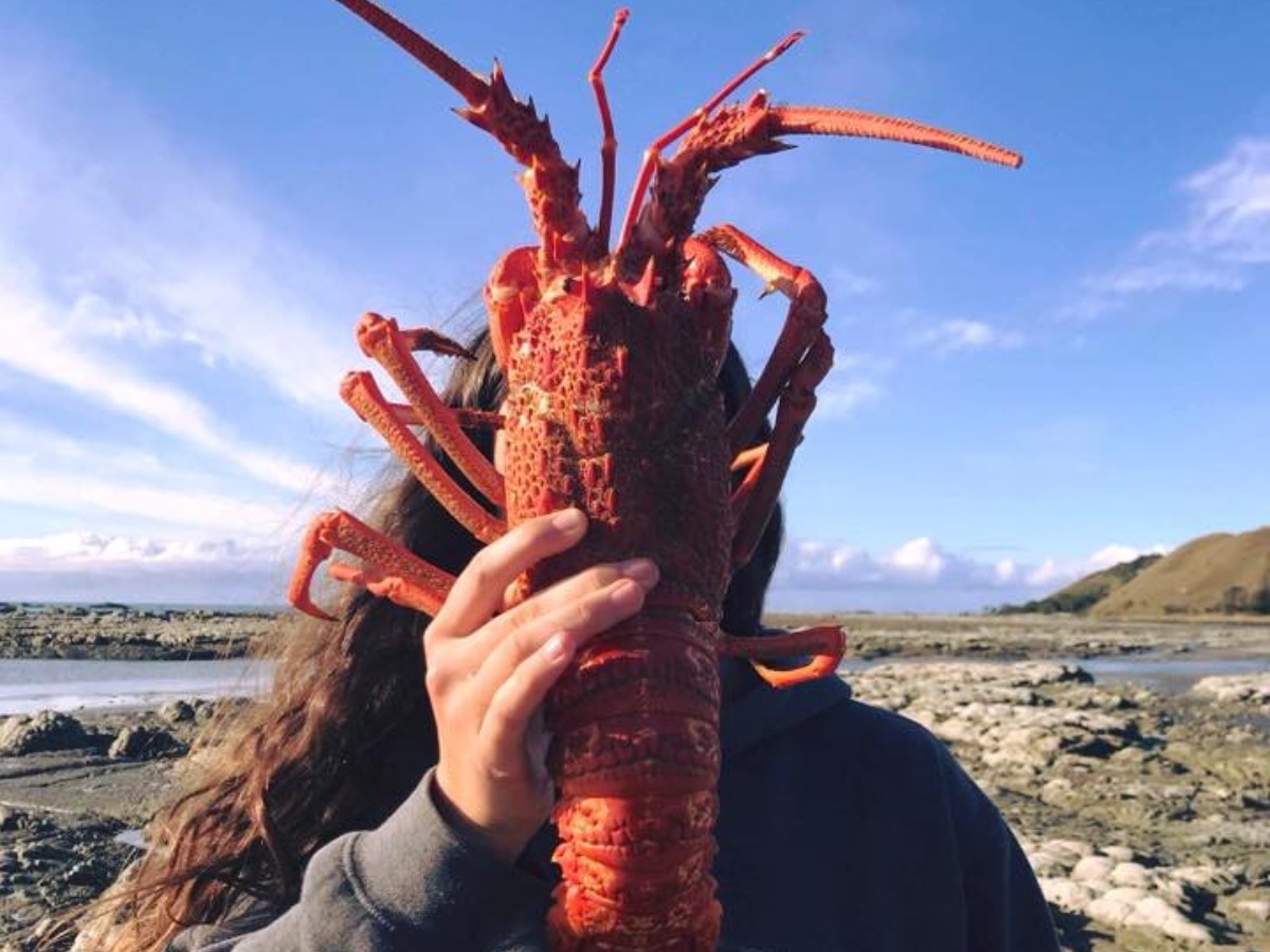 Kaikoura Seafood BBQ restaurant ranks 7th best in the world » METRONEWS