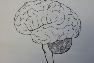 brain by tia