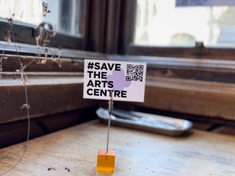 Save Arts Brie Ellen Harding 29324