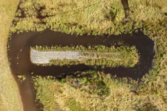 Newsline Wetland