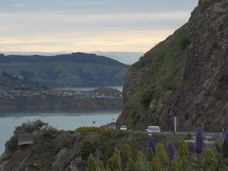 Cars on Evans Pass Road in the Port Hills
