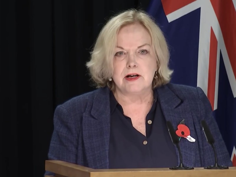 Public Service Minister Judith Collins in a stand up regarding McSkimming case