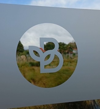 Brain Tree Logo Window