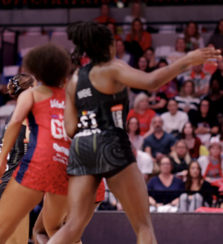 Silver Ferns