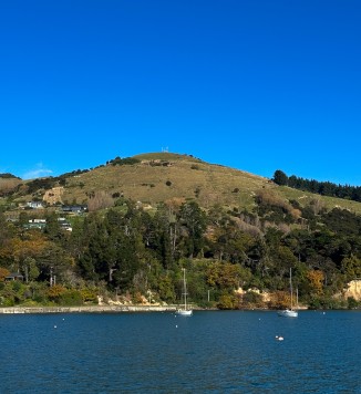 akaroa-slip-hillside
