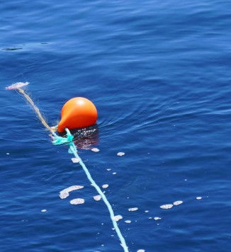boat buoy