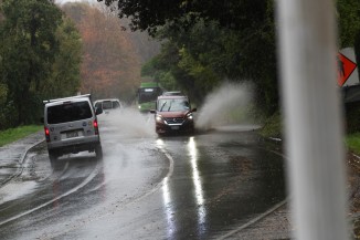 rain-carpuddle3