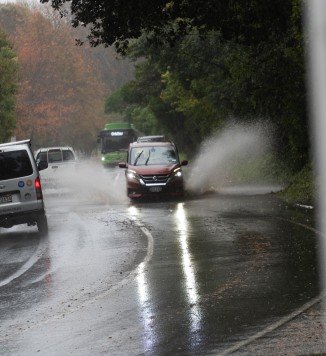 rain-carpuddle3