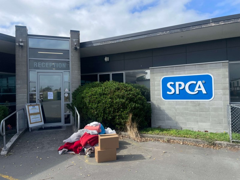 SPCA Centre Christchurch