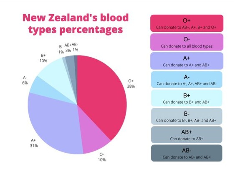 Canva Blood Graph