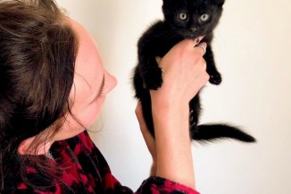 Betsy Blasdale with foster kitten 2020