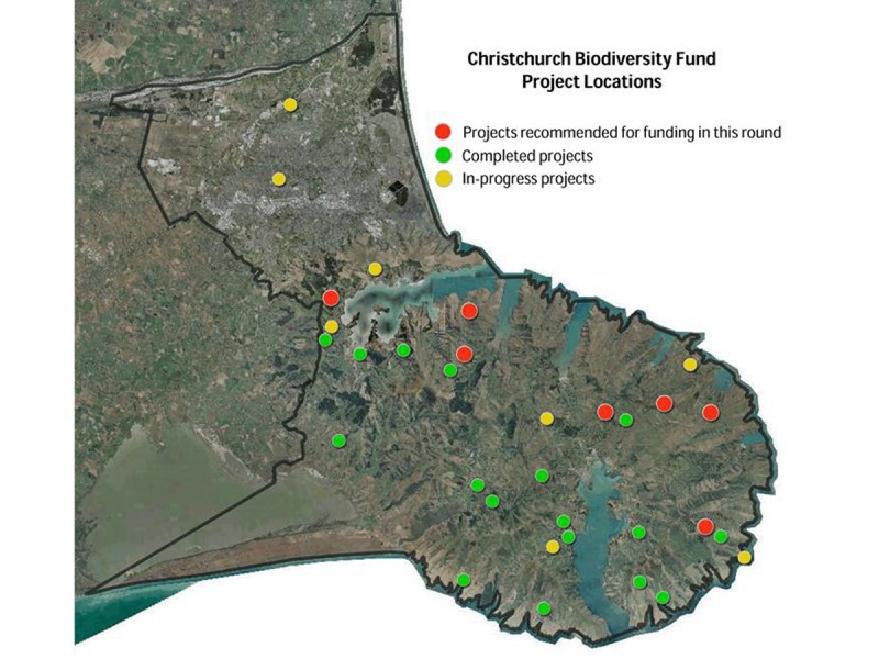 CHCH Biodiversity Projects