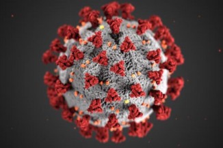 Coronavirus v2