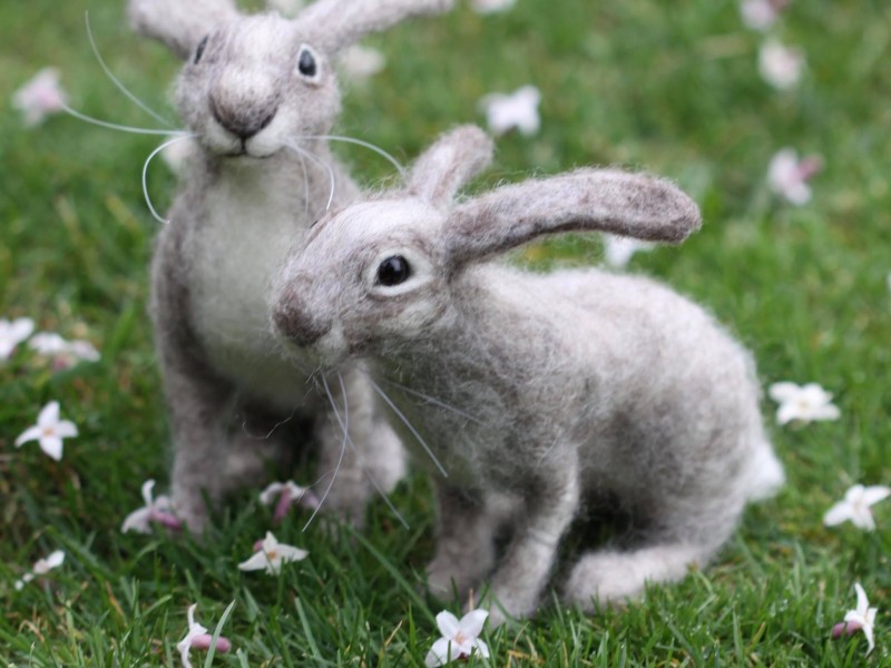 Heartfeltie Hares