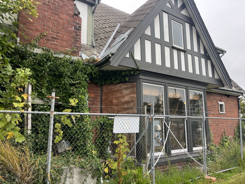 IMG 3128 optimized 2000