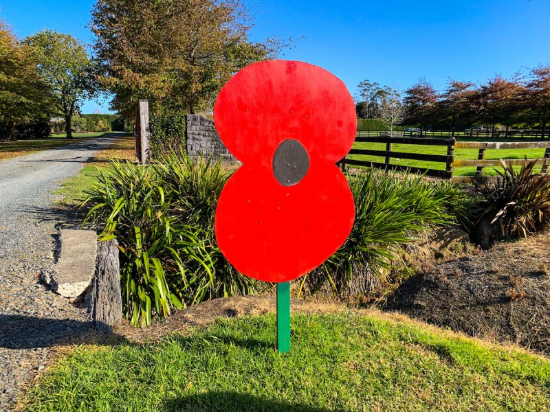 A wooden painted poppy standing at a Kiwis gate for ANZAC