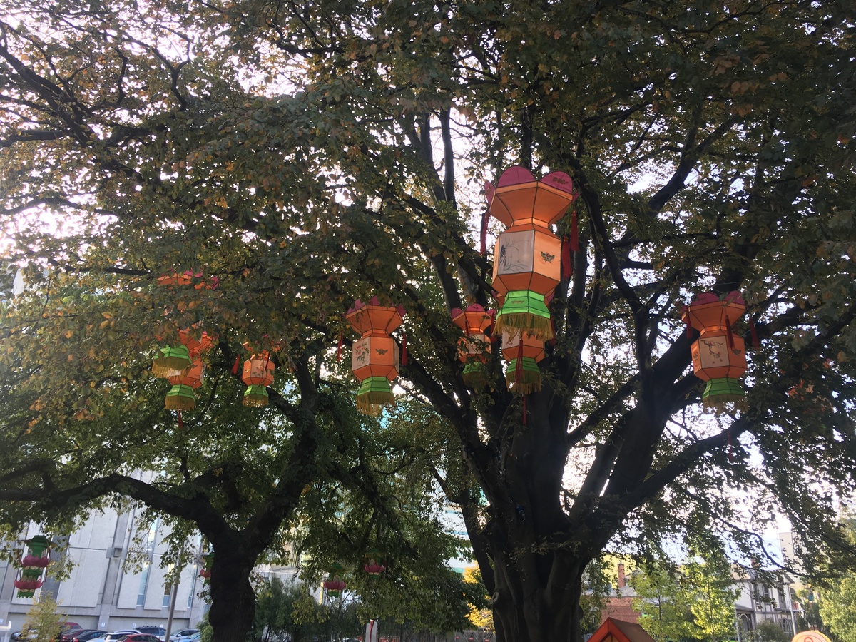 Lantern Festival Christchurch 2024 Ericha Querida