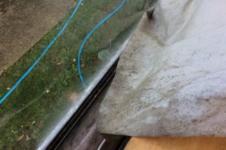 Mould growth on curtains2