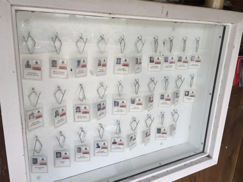 PR29 tags