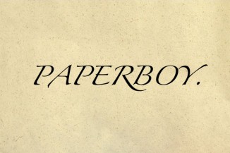 Paperboy Image 3