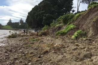 Pohutakawa coast landslide