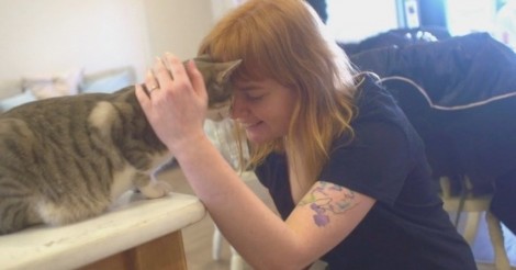 Cat-paccino » METRONEWS