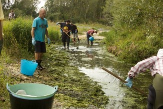 Selwyn River cleanup