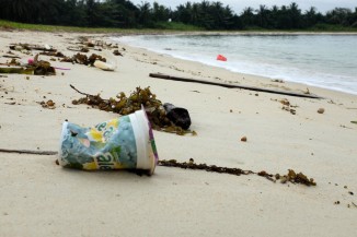 Single Use Plastic on beach