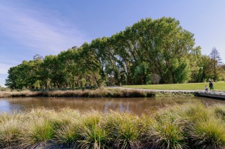 Te Kuru Wetland