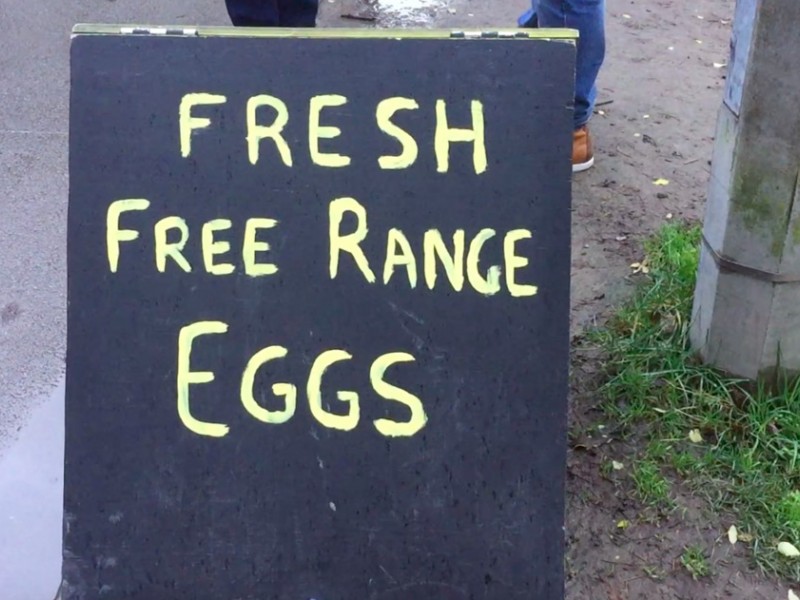fresh free range eggs