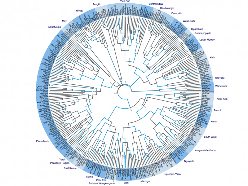 Aboriginal language tree