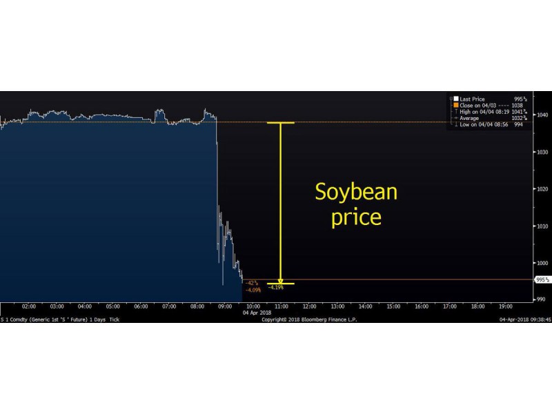 soybean stock