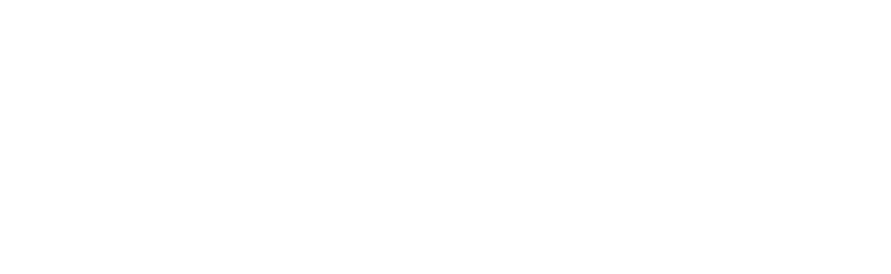 NZBS Ara TP logo